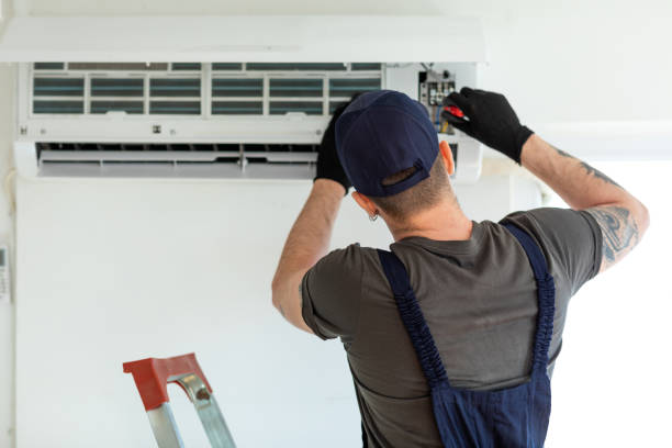 Best Air Duct Inspection  in Roanoke, AL