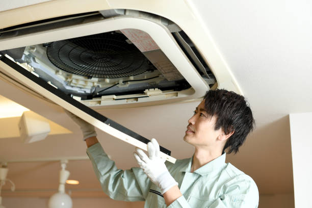 Best Ductwork Cleaning Services  in Roanoke, AL