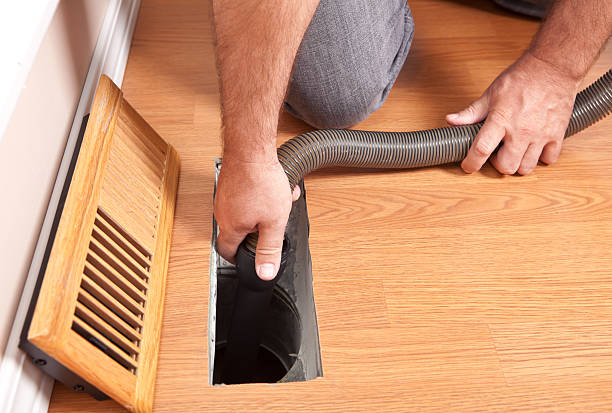 Best Air Duct Mold Removal  in Roanoke, AL
