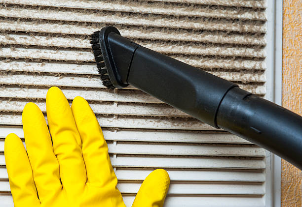 Best Residential Air Duct Cleaning  in Roanoke, AL