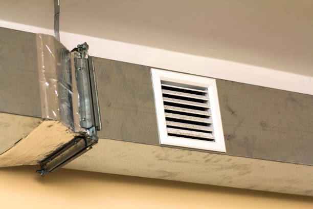 Best Affordable Air Duct Cleaning  in Roanoke, AL